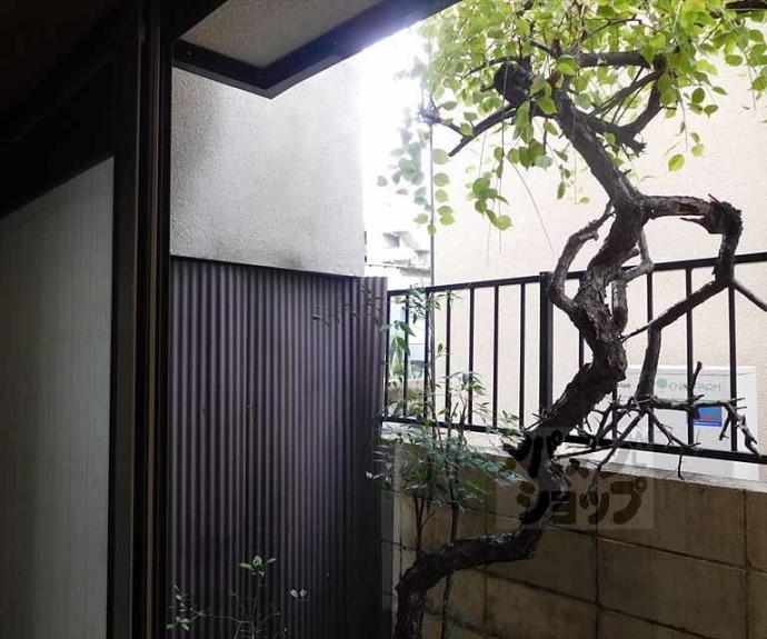 【衣笠高橋町２９－３貸家】間取