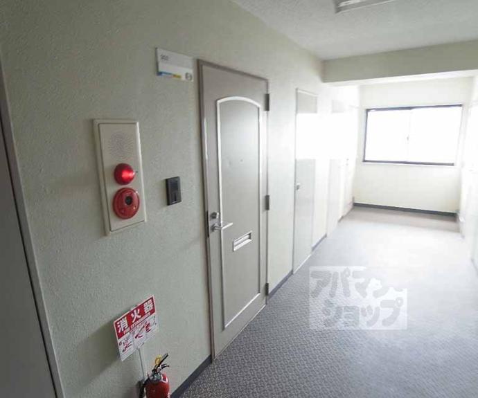 【ピュアー紙屋川】間取