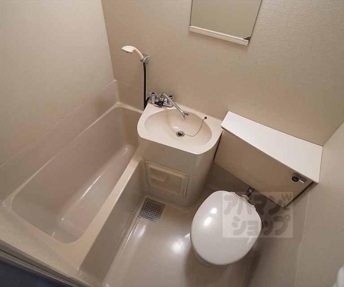 【メゾン紫野】間取