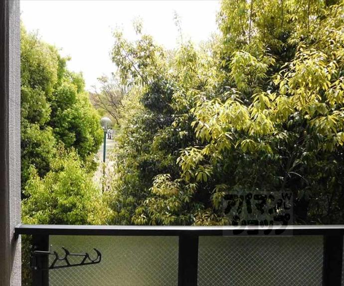 【ViolaOkura】間取