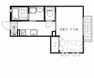 【スプリング大将軍】