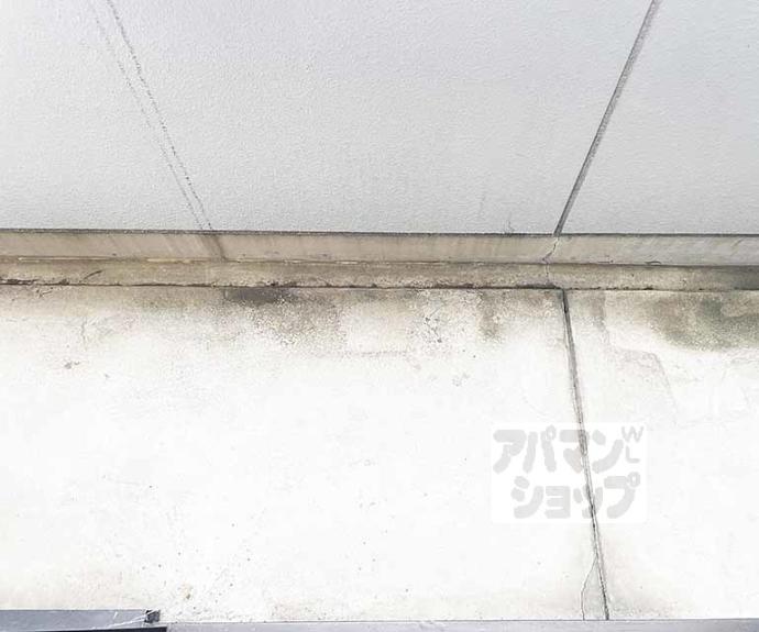 【サンパティック参番館】間取