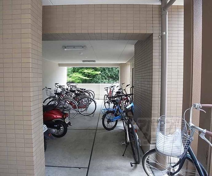 【京都紙屋川M】間取