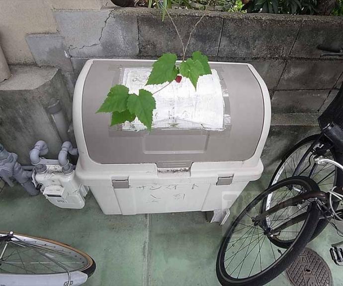 【サンスウィート金閣】間取