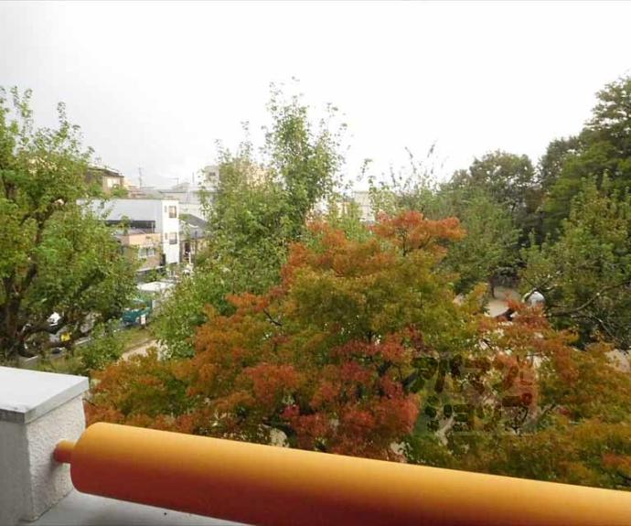 【ニューポート内田】間取