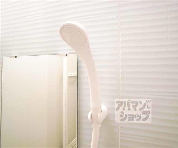 【ドリーミーY】間取