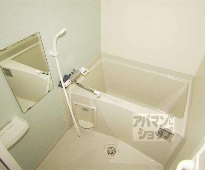 【ドリーミーＹ】間取