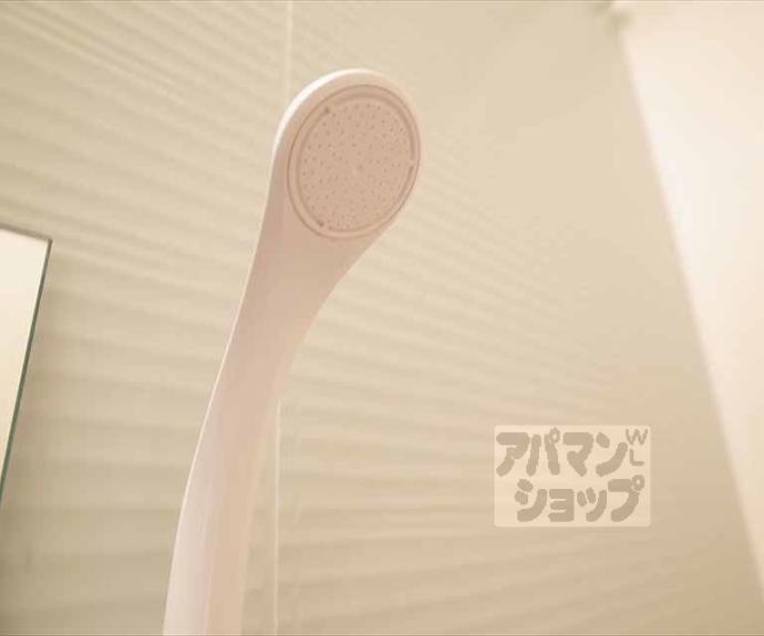 【ドリーミーＹ】間取