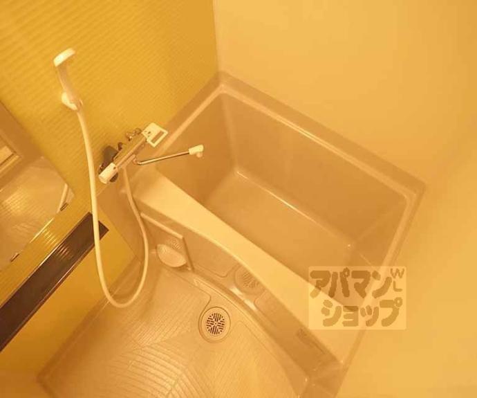 【ＰＩＮＥ館Ⅵ鞠小路】間取