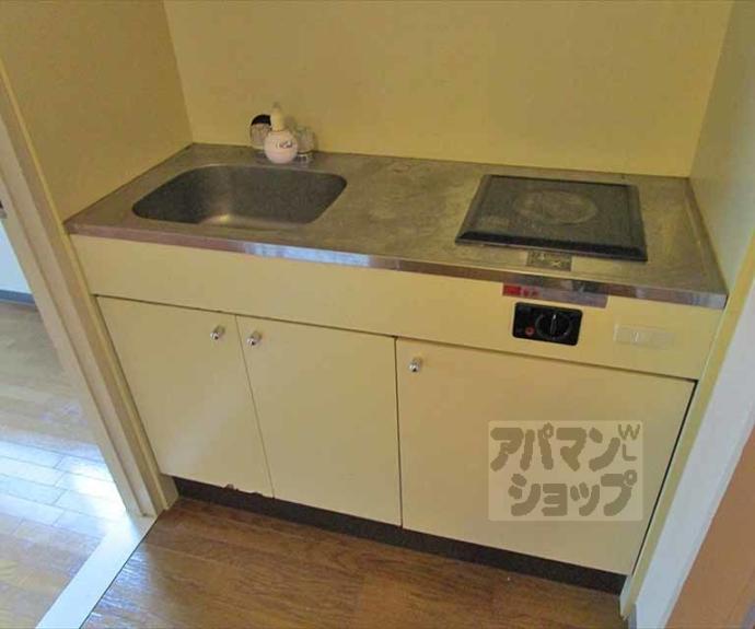 【ラフィーネ一乗寺】間取