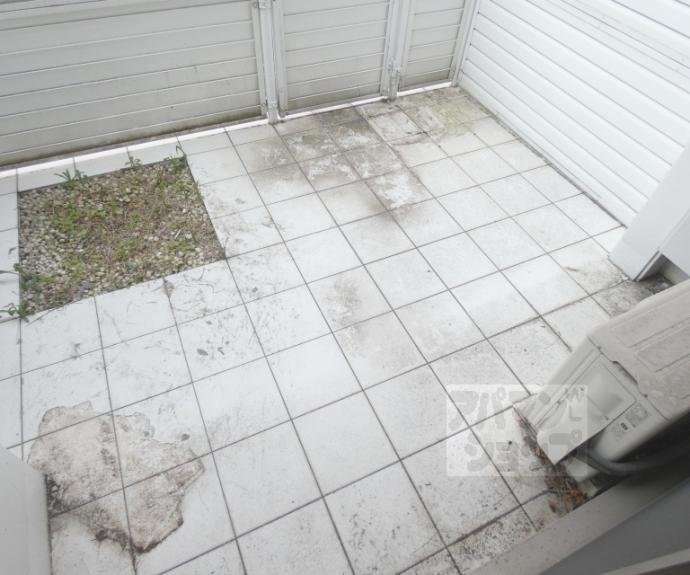 【プラネシア京阪出町柳】間取