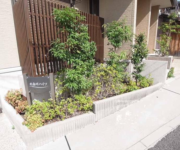 【北白川ハイツ】間取