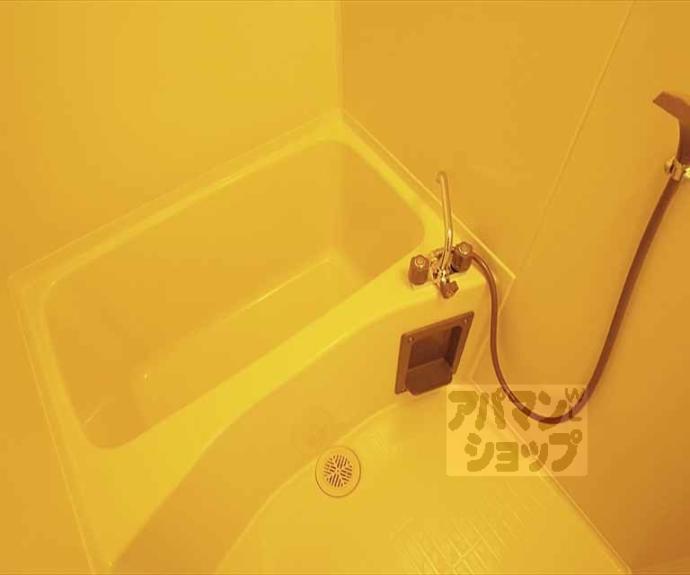 【アレックスⅥ】間取