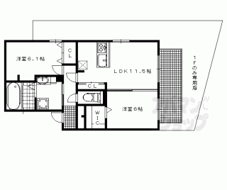 【オーキッド】