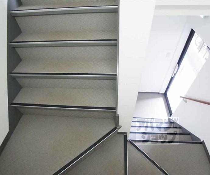 【井山ハイツ】間取