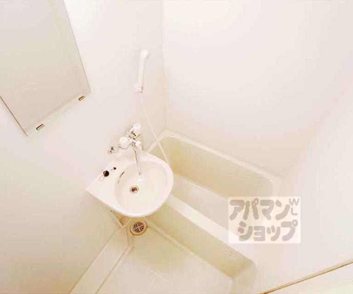 【井山ハイツ】間取