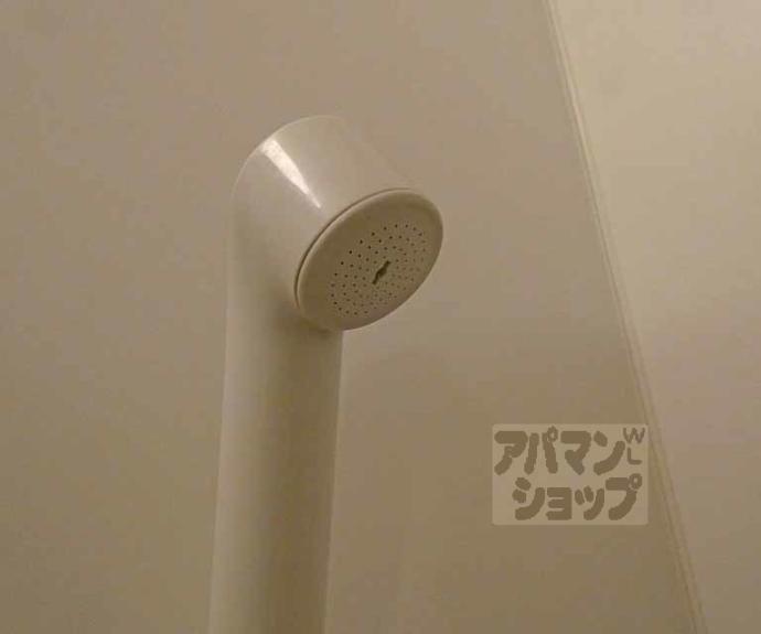 【井山ハイツ】間取
