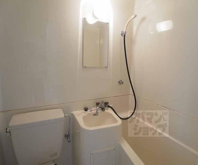 【ロイヤルパレス河合】間取