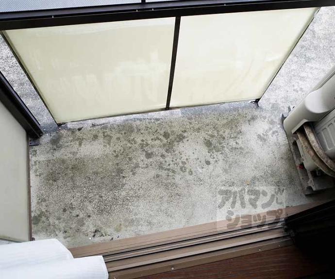 【Ｌａ　Ｍａｉｓｏｎ　Ｔｏｍｉｓａｋａ】間取