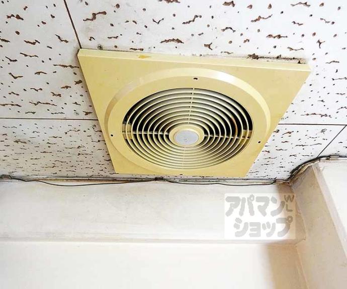 【グリーンハイツ・マリヤ】間取