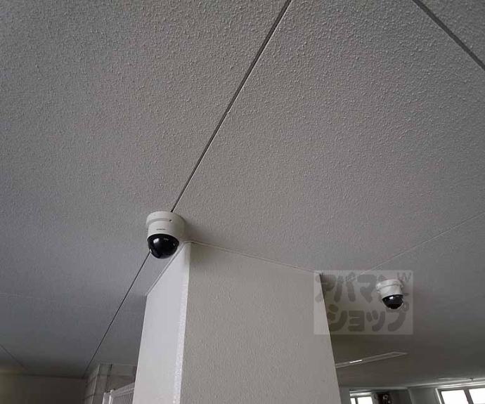 【ザ・パークハウス二条城】間取