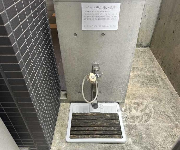 【ダイヤ・パール】間取