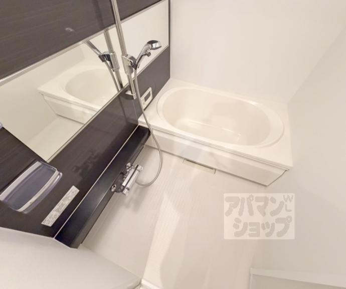 【シャーメゾン白梅町】間取