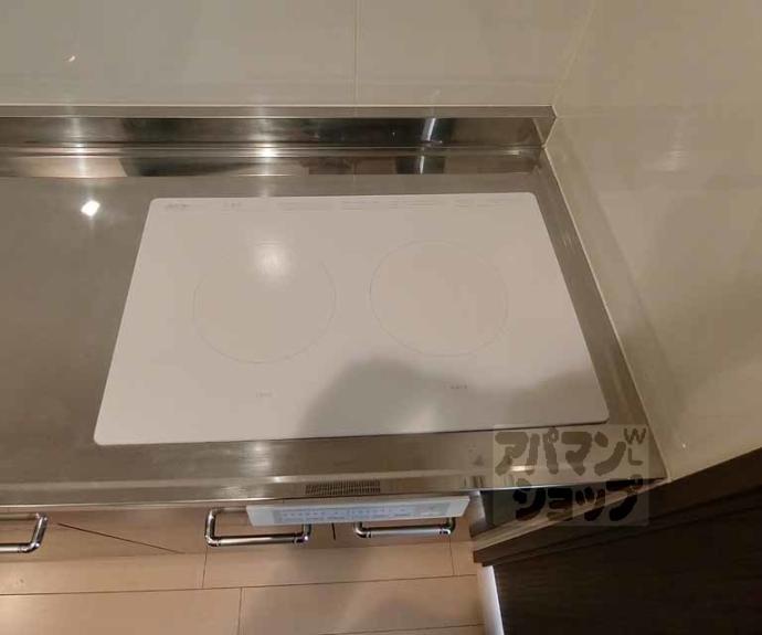 【ミルフローラＳＫ二条】間取