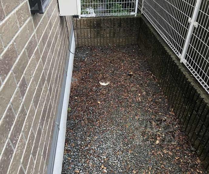 【プランドール葉室Ｂ棟】間取