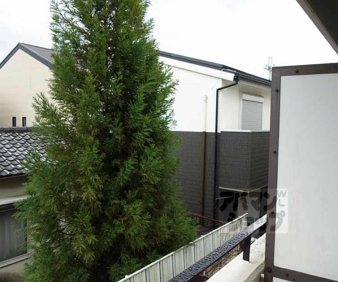 【Ｎフラットファミリアール】間取