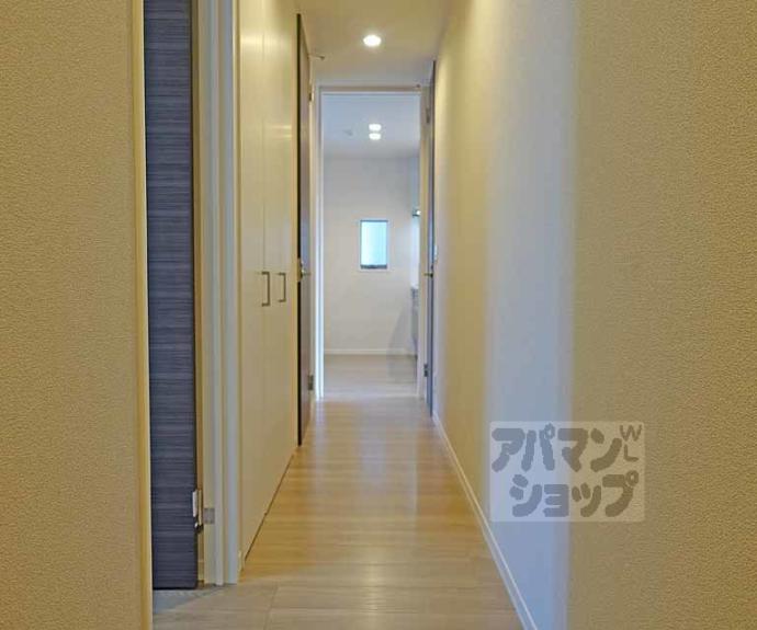 【シャーメゾン 千本六軒町】間取