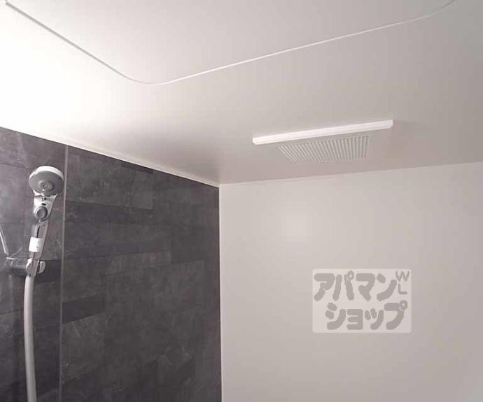 【Ｐｉｋｅｔｒｅｅ西京極】間取