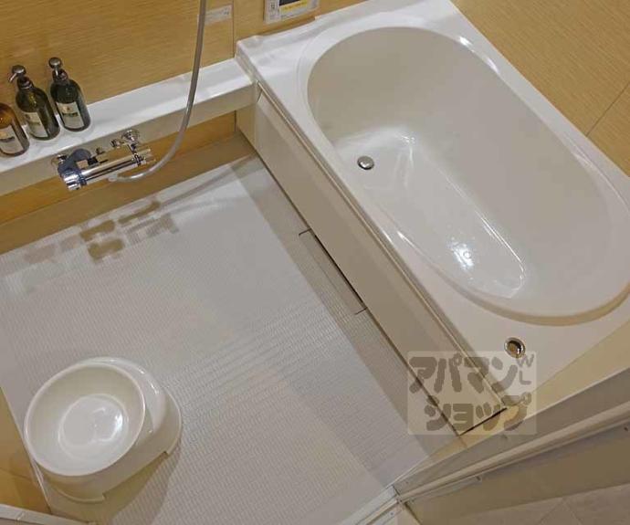 【サンライズ西ノ京】間取