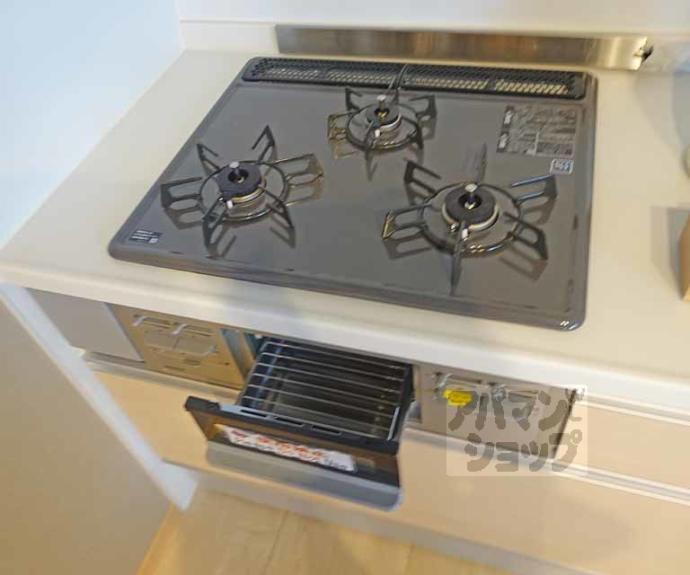 【サンライズ西ノ京】間取