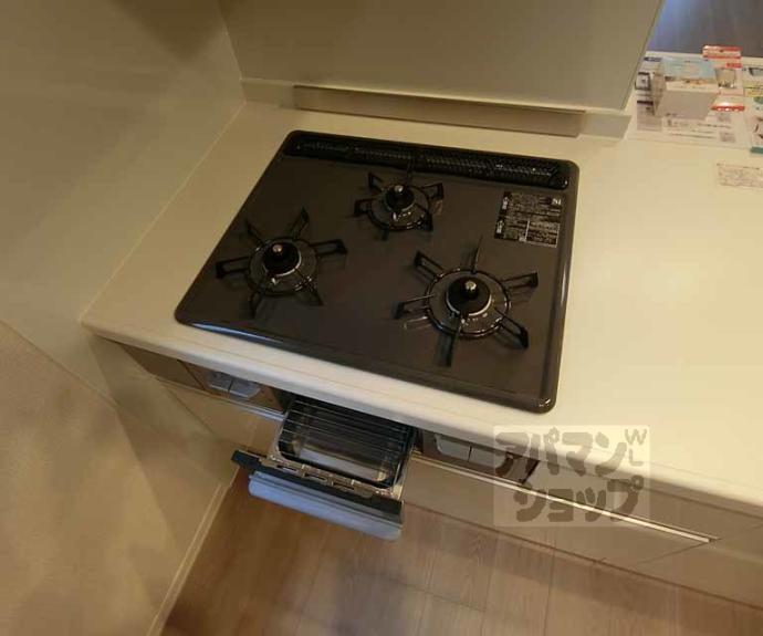 【レフィシア西院】間取