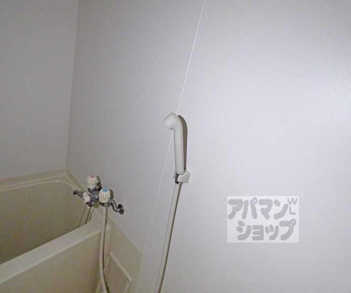 【ＣＡＳＡ　ＦＬＵＥＮＴＥ】間取