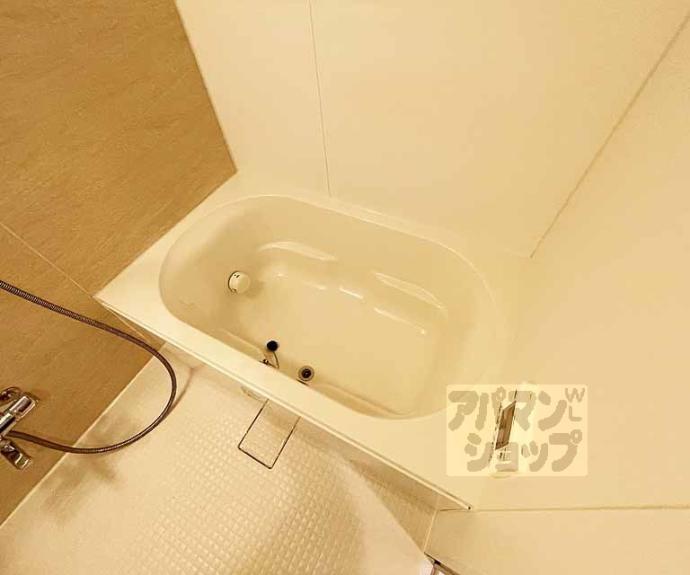 【ピアヌーラ柳馬場】間取