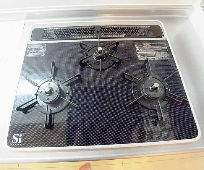 【ブーゲンビリア プレイス】間取