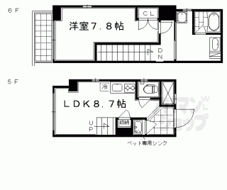 【セント綾大宮Ⅱ】