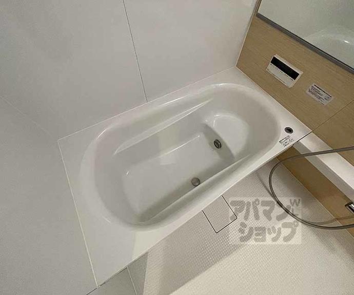 【セレーナ室町】間取