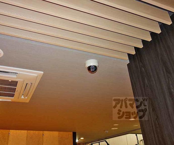 【セレーナ室町】間取