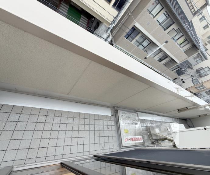 【セレーナ室町】間取