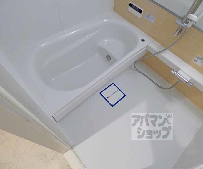 【セレーナ室町】間取
