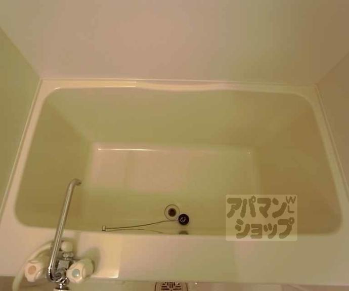 【viscaria光樹】間取