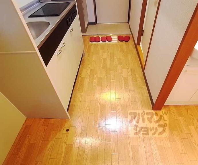 【viscaria光樹】間取