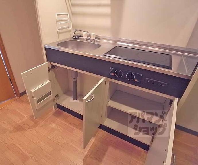 【viscaria光樹】間取