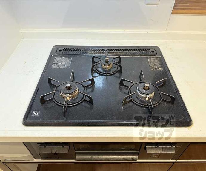 【グランレブリー三条御幸町】間取