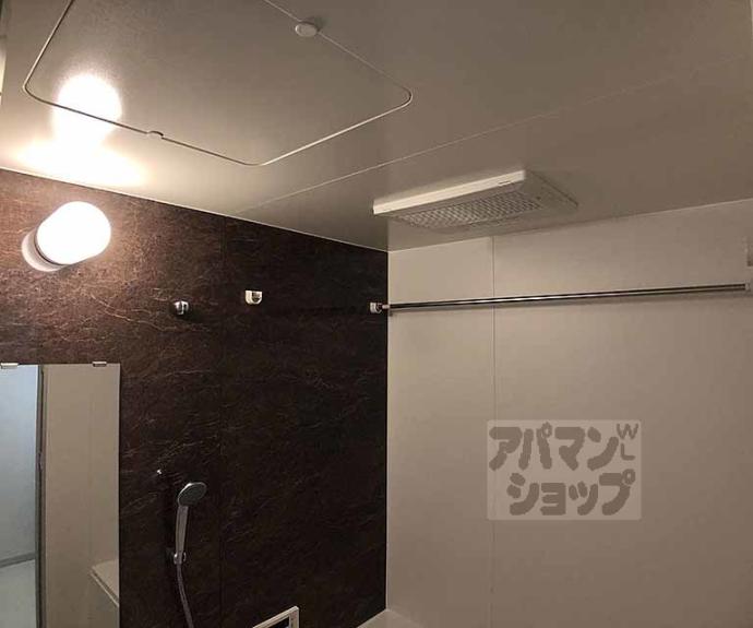 【Ｓｏｌｅｉｌ　ＭＩＢＵ】間取