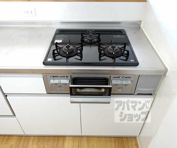 【シュシュパルク・太秦】間取