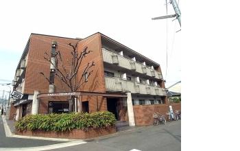 シャトーフロントナック：間取図